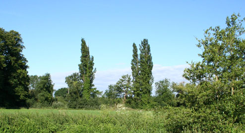 Greenfield Land with Beaulieu Homes